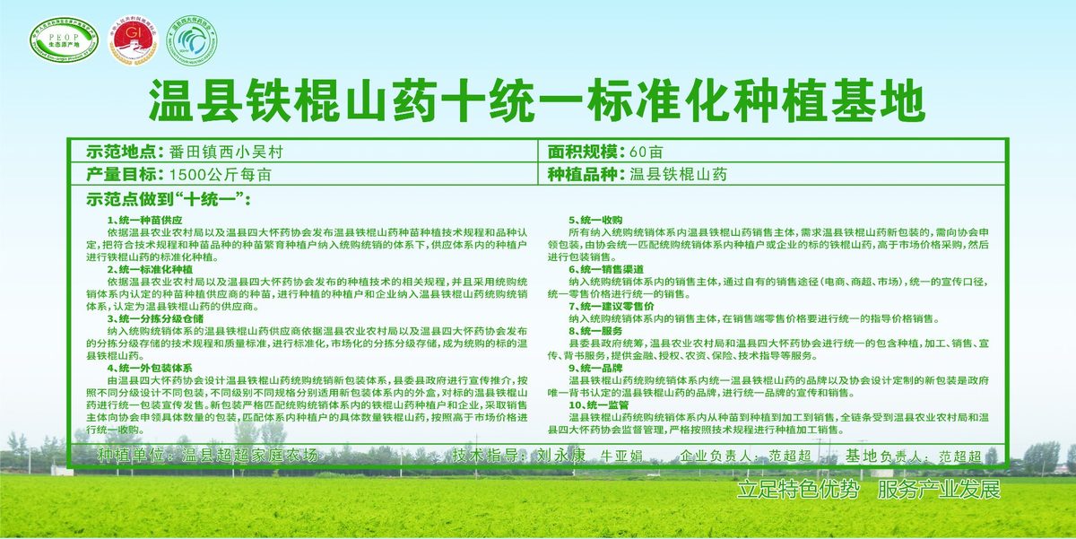 温县铁棍山药十统一标准化种植基地